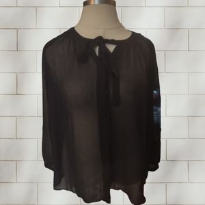 Sheer lane Bryant blouse